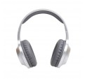 Auriculares PANASONIC RB-HX220BDES Plata BT