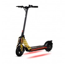 Patinete ECOXTREM Bison 800W Gold 48V