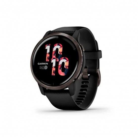 Smartwatch GARMIN Venu 2 Black Slate 45mm