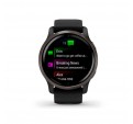 Smartwatch GARMIN Venu 2 Black Slate 45mm