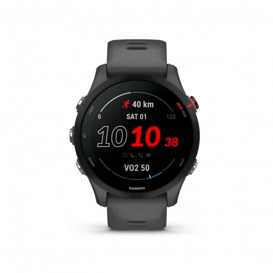 Smartwatch GARMIN Forerunner 255 Slate Gray 46mm