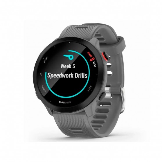 Smartwatch GARMIN Forerunner 55 Monterra Grey 42mm