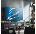 TV MiniLED LG 85QNED93A6A 4K QNED EVO IA Gen2 a8